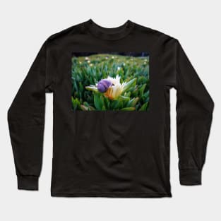 Snail Having Breakfast in Californian Yellow Flower Photo V1 Long Sleeve T-Shirt